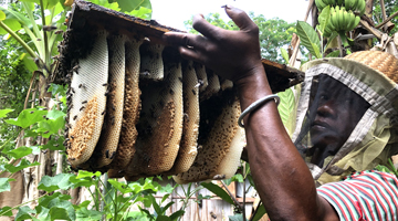 Apiculteurs malgaches avec la compagnie du miel de Madagascar